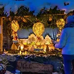 Vista Monte Rosa, Giardino In Walser A 10minuti Da Macugnaga - Monterosaflat *