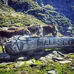 Vista Monte Rosa, Giardino In Walser A 10minuti Da Macugnaga - Monterosaflat 公寓 Vanzone