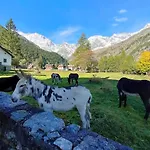 公寓 Vista Monte Rosa, Giardino In Walser A 10minuti Da Macugnaga - Monterosaflat Vanzone