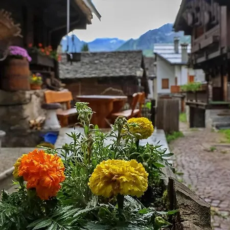 Vista Monte Rosa, Giardino In Walser A 10minuti Da Macugnaga - Monterosaflat Daire *