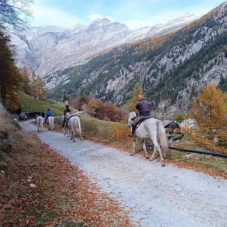 Appartamento - Bilocale 2 Rooms - Vista Monte Rosa, Giardino In Residence Walser A 10Minuti Da Macugnaga - Monterosaflat Vanzone